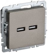 BRITE Розетка USB A+A 5В 3,1А РЮ10-1-БрШ шампань BR-U21-D31-K37 IEK