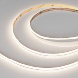 Лента COB-X528-8mm 24V Day4000 (6 W/m, IP20, 5m, FreeCut) (Arlight, Свободная резка) 046886 Arlight