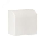 Заглушка (40х25) (4 шт) Plast Белый ecw-40-25x4 EKF