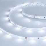 Лента LED RT 2-5000 24V Cool 8K 0.5x (3528, 150 LED, LUX) (ARL, 2.9 Вт/м, IP20) 019916(1) Arlight