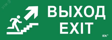 Этикетка самоклеящаяся 280х100мм ''Выход/лестница вверх/фигура'' IEK LPC10-1-28-10-VLVVF IEK