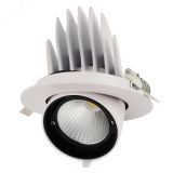 Светильник светодиодный встраиваемый ДВО-30W 4000K 2750Лм 24° поворотный  White  IP40 Jazzway 5021907 JazzWay