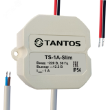 Источник вторичного электропитания 00-00011267 Tantos