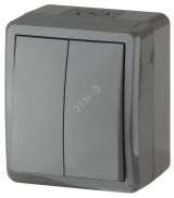 Выключатель двойной IP54, 10АХ-250В, ОУ, Эра Эксперт, серый,11-1404-03 Б0020676 ЭРА
