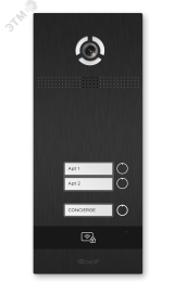Панель вызвная IP видеодомофона на 2-х абонентов BI-02FB GOLD BAS-IP