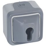 Выключатель с ключом серый, 10A, 250В 069706 Legrand