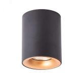Светильник TORRE A1532PL-1BK Arte Lamp