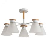 Люстра TYLER A1031PL-5WH Arte Lamp