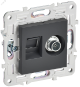 SKANDY Розетка двойная TV+RJ45 кат.6E SK-A15T титан IEK SK-AK20-2-K48 IEK