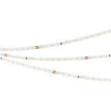 Лента LED MICROLED-M140-4mm 24V White-CDW (4.8 W/m, IP20, 2216, 5m) (ARL, узкая) 024505(2) Arlight