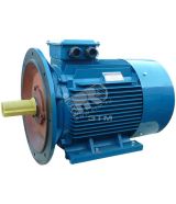 Электродвигатель 5АИ 225 М2 55/3000  IM 2001 01.01.213660 Элком