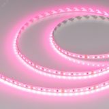 Лента RT-A120-8mm 24V Pink (9.6 W/m, IP20, 2835, 5m) (Arlight, -) 043380 Arlight