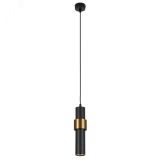 Точечный подвесной светильник RAN A3144SP-1BK Arte Lamp