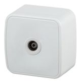 Розетка TV одиночная, ОУ, Polo, белый, 3-301-01 Б0036101 ЭРА