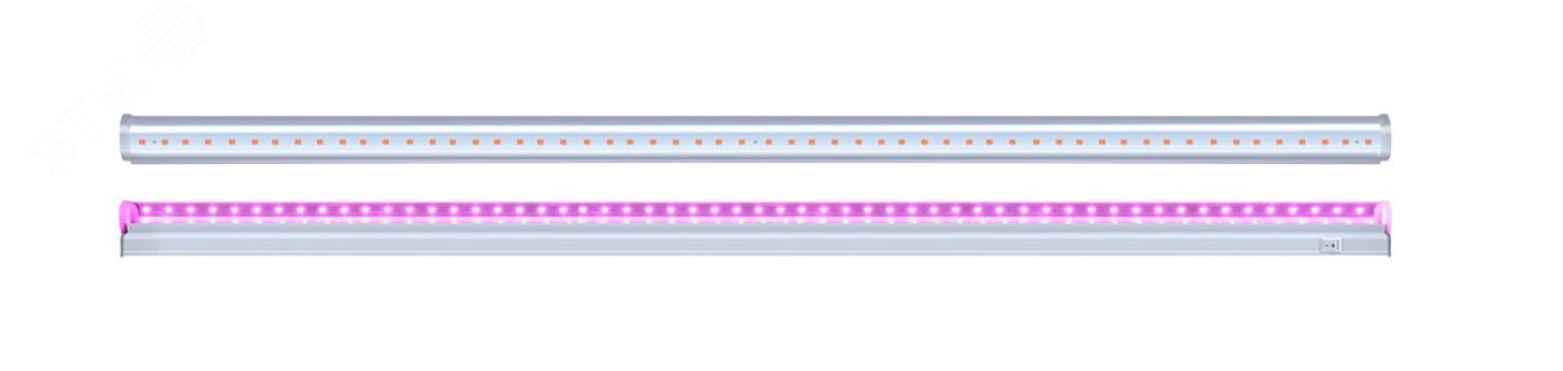 Светильник светодиодный ДПО-8w IP20 для растений фиолетовый свет PPG T5i- 600 Agro 5025936 JazzWay