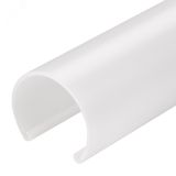 Экран матовый ROUND-D30 OPAL (ARL, Пластик) 025227 Arlight