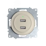 Розетка USB двойная, с подсветкой, цвет бежевый 2260090 OneKeyElectro