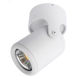 Светильник LIBRA A3316PL-1WH Arte Lamp