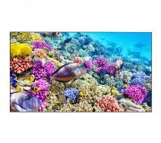 Информационный дисплей 55'' SK555FCLN Eliteboard