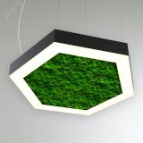 Светильник светодиодный RVE-LBX-MOSS-HEXA-800х800х693х100мм S80мм 54Вт Подвесной 4000К белый) RVE00000570 RVElektro