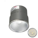 Светодиодный модуль SP-POLO-15W Day White 40deg (2-3) (, Металл) 020878 Arlight