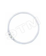 Лампа люминесцентная кольцевая ЛЛ 40вт T5 FC 40/840 2Gx13 белая Osram 4050300528526 LEDVANCE