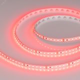 Лента RT-A120-8mm 24V Red (9.6 W/m, IP20, 2835, 5m) (, 9.6 Вт/м, IP20) 008781(2) Arlight