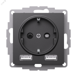 ATLASDESIGN РОЗЕТКА 16А с 2 USB A+A, 5В/2,4А, 2х5В/1,2А, механизм, БАЗАЛЬТ ATN001430 Systeme Electric