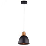 Светильник EURICA A4245SP-1BK Arte Lamp