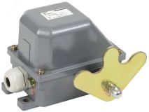 Выключатель концевой КУ-704 У1, W- образный рычаг, 10А, IP44, 2 эл. цепи, KV-1-704-1 IEK