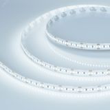 Лента MICROLED-M300-8mm 24V Cool 8K (8 W/m, IP20, 2216, 5m) (Arlight, 8 Вт/м, IP20) 028617(2) Arlight