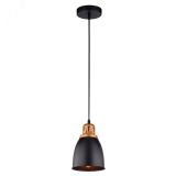 Светильник EURICA A4248SP-1BK Arte Lamp