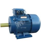 Электродвигатель 5АИ 160 М8 11/750  IM 1001 01.01.213702 Элком