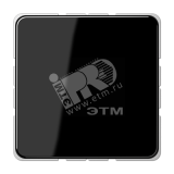 Крышка без отверстий с несущим каркасом для произвольных вырезов  черная CD594-0SW JUNG