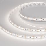 Лента MICROLED-M300-8mm 24V Day5000 (8 W/m, IP20, 2216, 5m) (Arlight, Открытый) 023173(2) Arlight
