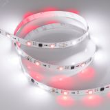 Лента SPI-B30-10mm 12V RGB-PX3 (7.2W/m, IP20, 5060, 5m) (, Открытый, IP20) 026368(2) Arlight