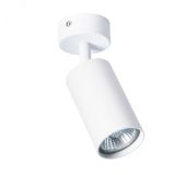 Светильник AQUARIUS A3216PL-1WH Arte Lamp