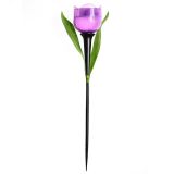 Светодиодный садовый светильник на солнечной      батарее СОЛАР USL-C-453/PT305 PURPLE TULIP UL-00004278 Uniel