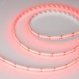 Лента CSP-X840-12mm 24V RGBW-White (17.2 W/m, IP20, 5m) (Arlight, 5 лет) 046935 Arlight