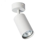 Светильник AQUARIUS A3216PL-1GY Arte Lamp