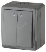 Выключатель двойной с подсветкой IP54, 10АХ-250В, ОУ, Эра Эксперт, серый,11-1405-03 Б0020678 ЭРА