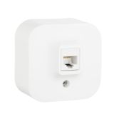 Quteo Розетка компьютерная RJ45 категория 5е UTP наружная белая 782224 Legrand