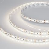 Лента LED MICROLED-M300-8mm 24V Day4000 (8 W/m, IP20, 2216, 5m) (ARL, Открытый) 023558(2) Arlight