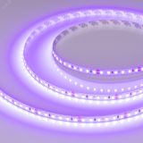Лента RT-A120-8mm 24V Violet (9.6 W/m, IP20, 2835, 5m) (Arlight, -) 043384 Arlight