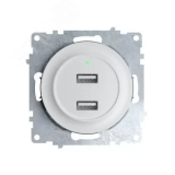 Розетка USB двойная, с подсветкой, цвет белый 2260089 OneKeyElectro