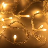 Гирлянда светодиодная декоративная ARD-STRING-HOME-5000-CLEAR-50LED-FLASH WARM (230V, 3.5W) (ARDCL, IP20) 025750 Arlight