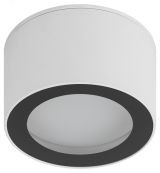 Светильник настенно-потолочный спот OL28 WH/BK GX53, черно-белый, IP44 Б0055581 ЭРА