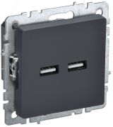 BRITE Розетка USB A+A 3.1А РЮ10-1-БрГ графит BR-U21-D31-K53 IEK