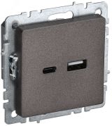 BRITE Розетка USB A+C 18Вт РЮ11-1-БрТБ темная бронза BR-U22-018-K45 IEK
