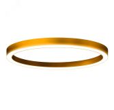 Светильник светодиодный  ДПО-24w 2300лм 4000К IP20 HOLE-RING ЦБ000018880 Центрстройсвет